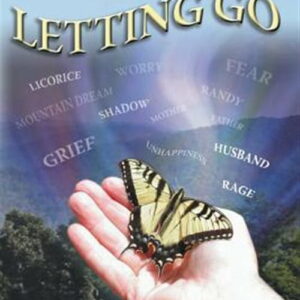 Letting Go - An Ordinary Woman's Extraordinary Journey of Healing & Transformation (Paperback)